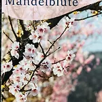 Suedpfalz Mit Fernblick Appartement Bochingen