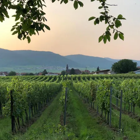 Apartment Suedpfalz Mit Fernblick