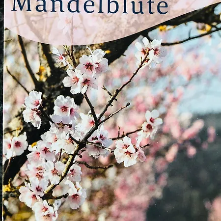 Suedpfalz Mit Fernblick Appartement Bochingen