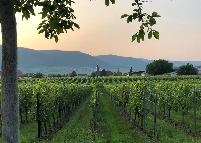 Apartment Südpfalz Mit Fernblick