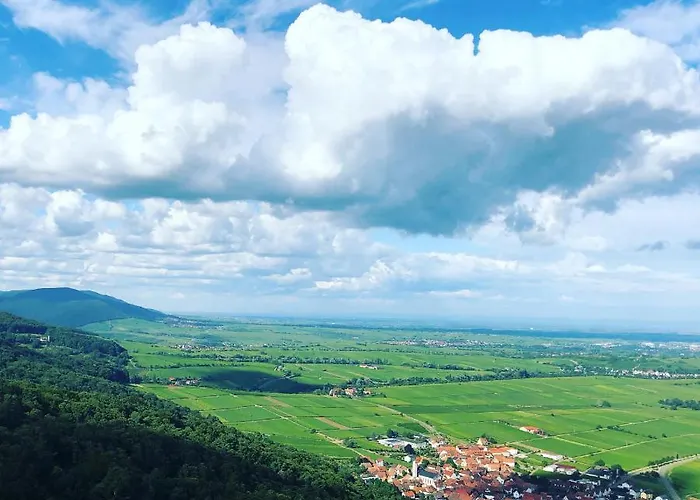 Südpfalz Mit Fernblick Apartment *