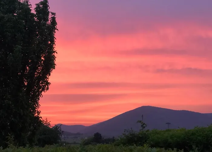アパート Suedpfalz Mit Fernblick