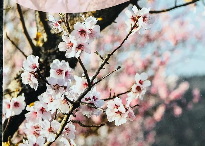 Suedpfalz Mit Fernblick アパート Böchingen